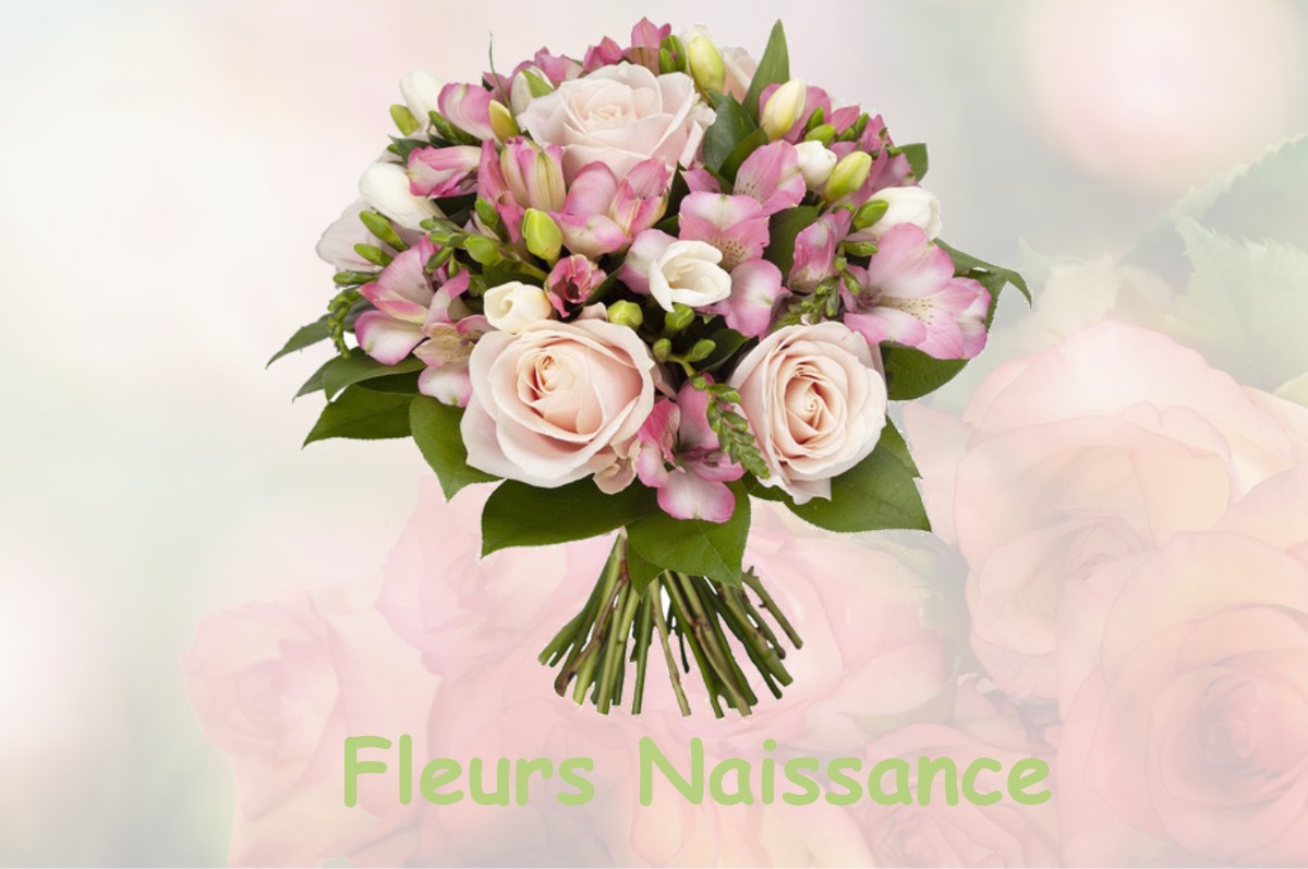 fleurs naissance HAPPENCOURT